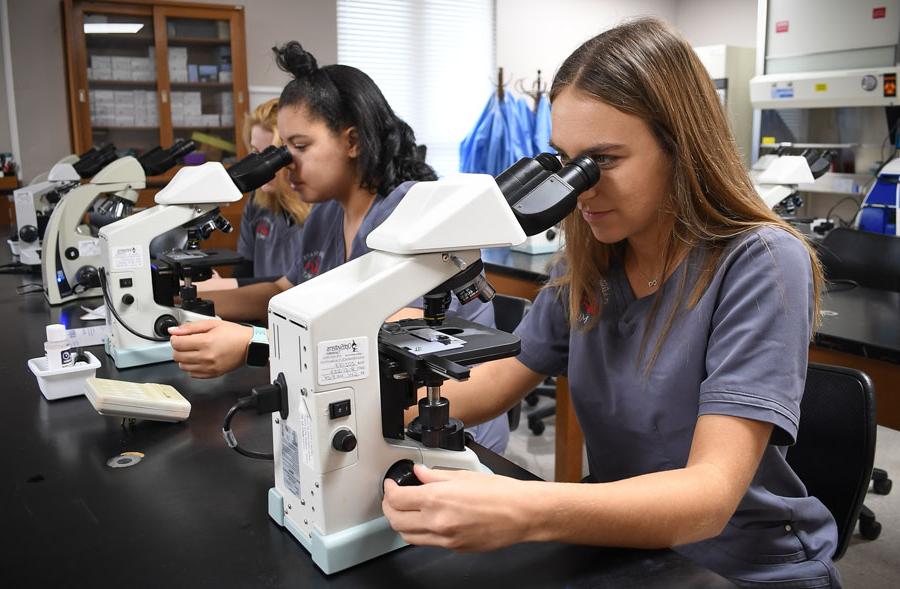 Medical Laboratory Technology students in the lab